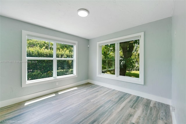 8730 NE 8th Ct, Miami, FL 33138 - photo 14