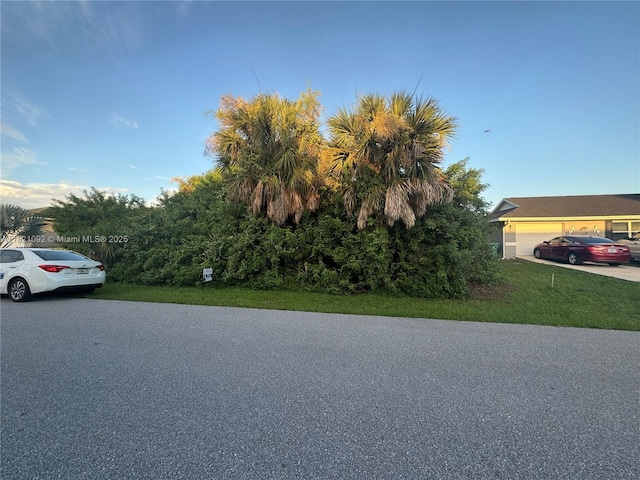 4436 Larkspur Ct, Port Ch, FL 33948 - photo 8