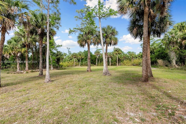 1020 SW 19th St SW, Naples, FL 34117 - view of grassy yard