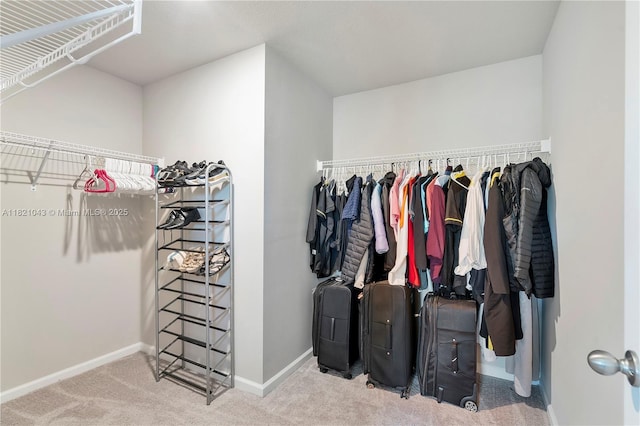 5720 Mentmore Dr, Mangonia Park, FL 33407 - walk in closet featuring carpet floors