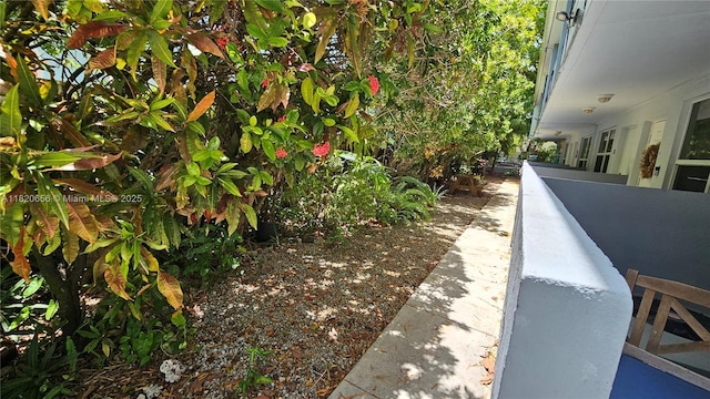 3025 Mary St Unit 12, Miami, FL 33133 - photo 40