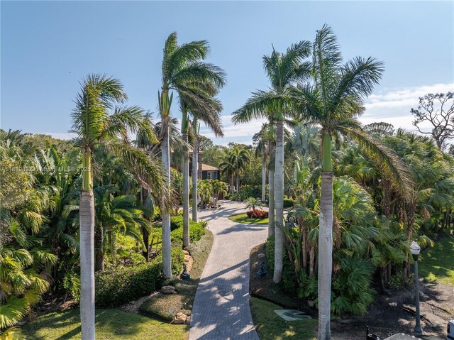 8755 Commodore Dr, Seminole, FL 33776 - surrounding community