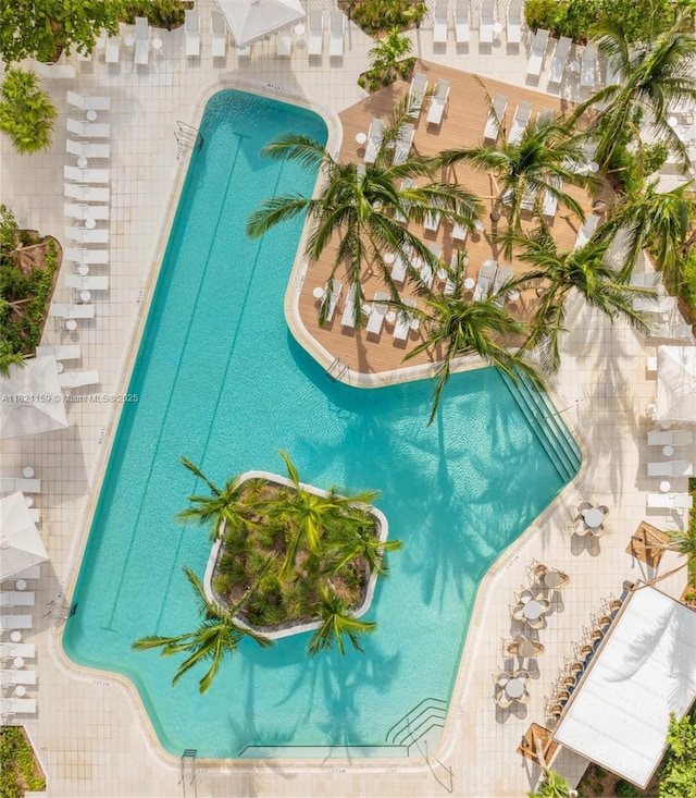 159 NE 6th St Unit 3016, Miami, FL 33132 - view of swimming pool