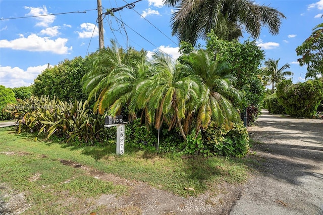 16375 SW 304th St, Homestead, FL 33033 - photo 3