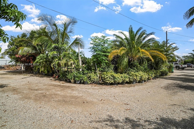 16375 SW 304th St, Homestead, FL 33033 - photo 7
