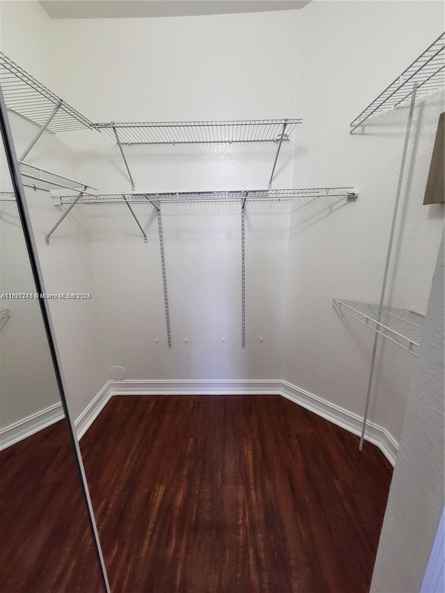 7633 NW 114th Path Unit 7633, Doral, FL 33178 - walk in closet with wood finished floors