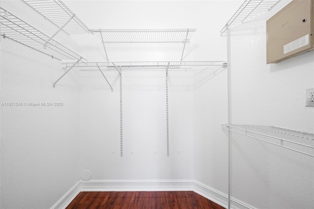 7633 NW 114th Path Unit 7633, Doral, FL 33178 - spacious closet featuring dark wood finished floors