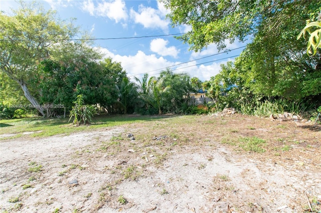 1167 NW 9th Ave, Fort Lauderdale, FL 33311 - view of yard