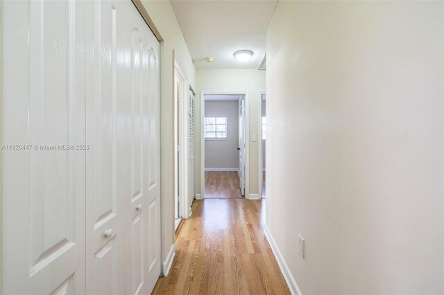 18043 SW 149th Pl, Miami, FL 33187 - hall featuring light wood-style flooring and baseboards