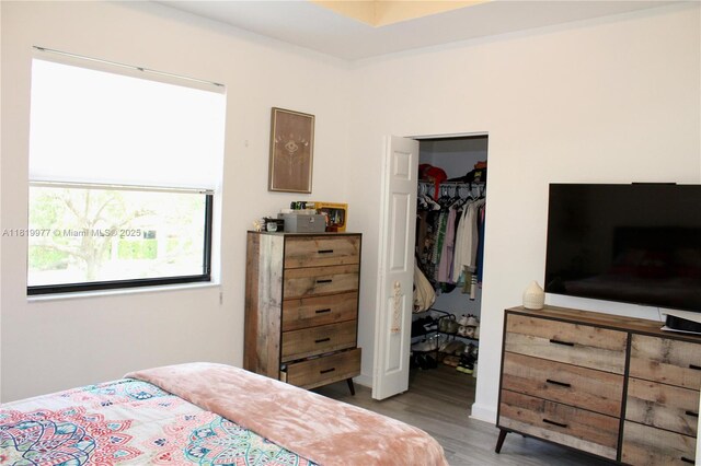 581 SE 32nd Ter, Homestead, FL 33033 - bedroom featuring wood finished floors, a walk in closet, and a closet