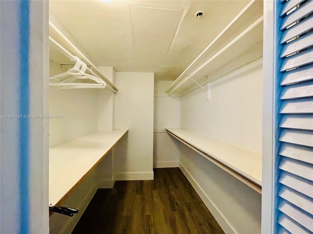3001 S Ocean Dr Unit 101, Hollywood, FL 33019 - photo 15
