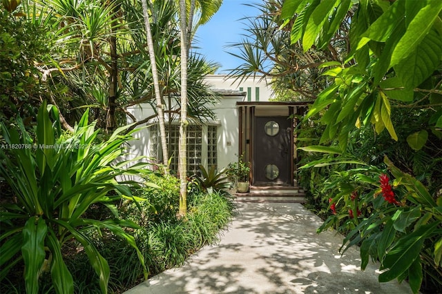 6165 Pine Tree Dr, Miami Beach, FL 33140 - photo 5