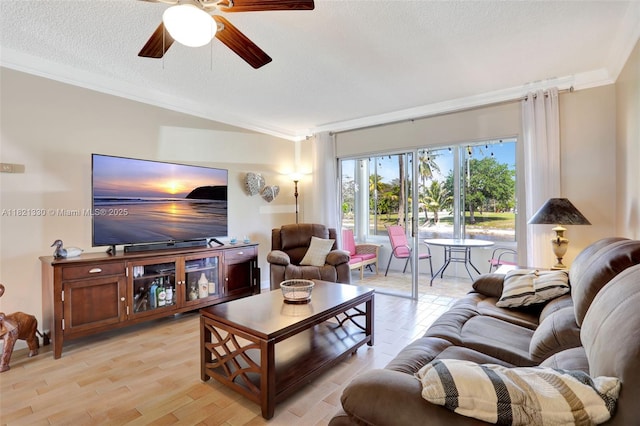 4311 NW 16th St Unit B103, Lauderhill, FL 33313 - living room with ornamental molding, a textured ceiling, a ceiling fan, and light wood-type flooring