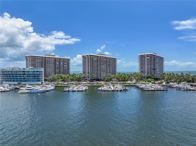 3 Grove Isle Dr Unit C602, Miami, FL 33133 - water view featuring numerous boat docks