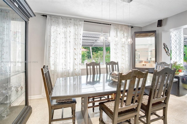 6285 Pine Ter, Plantation, FL 33317 - dining area with a chandelier, plenty of natural light, and a textured ceiling