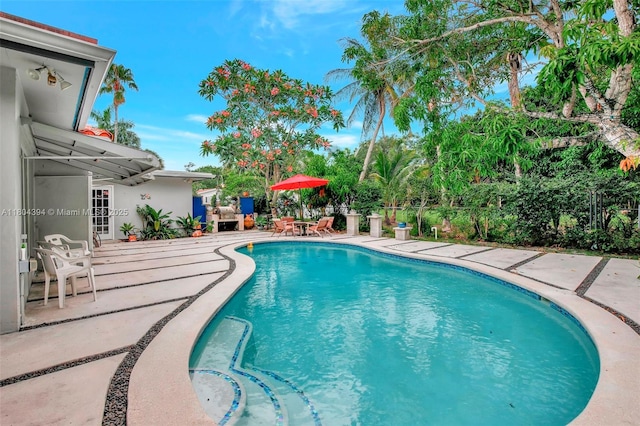 6285 Pine Ter, Plantation, FL 33317 - view of swimming pool featuring a patio