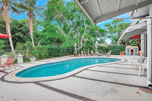 6285 Pine Ter, Plantation, FL 33317 - outdoor pool with a patio area