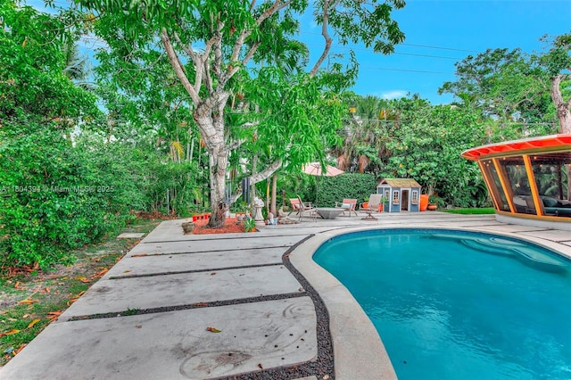 6285 Pine Ter, Plantation, FL 33317 - swimming pool with a patio area and an outdoor structure