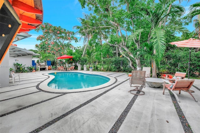 6285 Pine Ter, Plantation, FL 33317 - view of pool featuring a patio area
