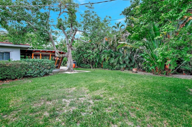 6285 Pine Ter, Plantation, FL 33317 - view of green lawn