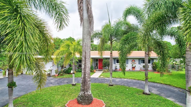 6285 Pine Ter, Plantation, FL 33317 - view of front of house with curved driveway, a front yard, stucco siding, and a tiled roof