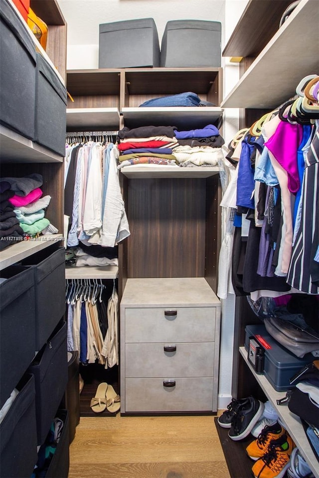 10857 NW 84th St, Doral, FL 33178 - spacious closet featuring light wood-type flooring