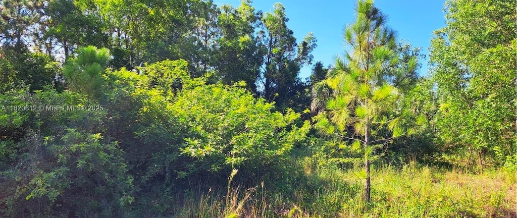 618 Parkdale Blvd, Lehigh Acres, FL 33974