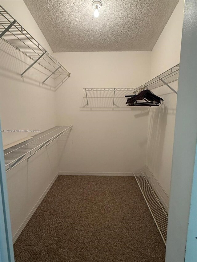 5657 NW 121st Ave, Coral Springs, FL 33076 - walk in closet with carpet
