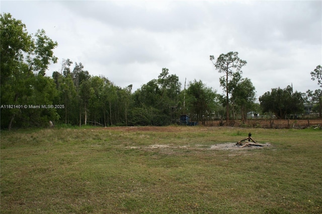 13001 Shetland Ln, Fort Myers, FL 33912 - view of yard