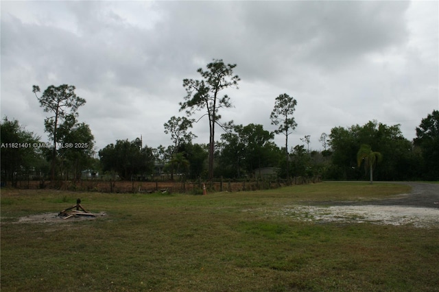 13001 Shetland Ln, Fort Myers, FL 33912 - view of yard