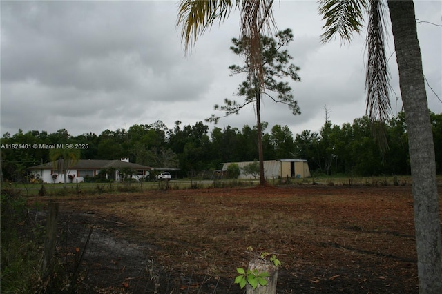 13001 Shetland Ln, Fort Myers, FL 33912 - view of yard