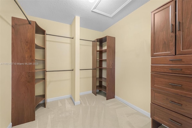 21343 SW 88th Ct, Cutler Bay, FL 33189 - walk in closet featuring light carpet and attic access