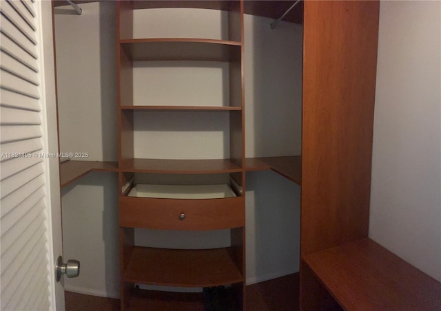 19390 Collins Ave Unit 207, Sunny Isles Beach, FL 33160 - view of walk in closet