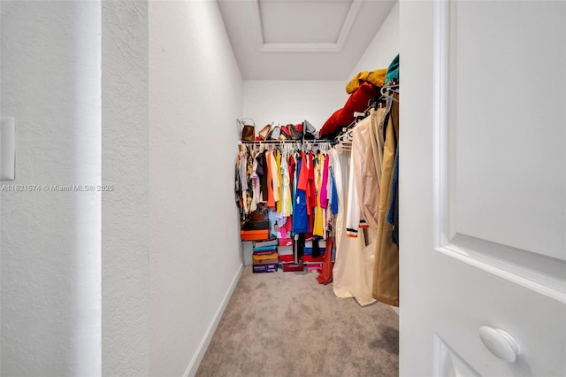 2699 SE 19th St, Homestead, FL 33035 - spacious closet featuring carpet flooring and attic access