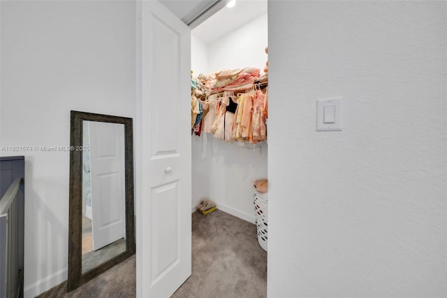 2699 SE 19th St, Homestead, FL 33035 - spacious closet with carpet