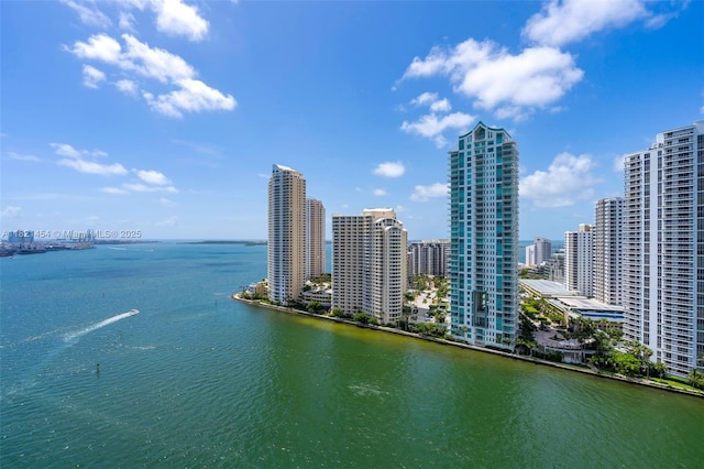 325 S Biscayne Blvd Unit 2515, Miami, FL 33131 - water view with city skyline