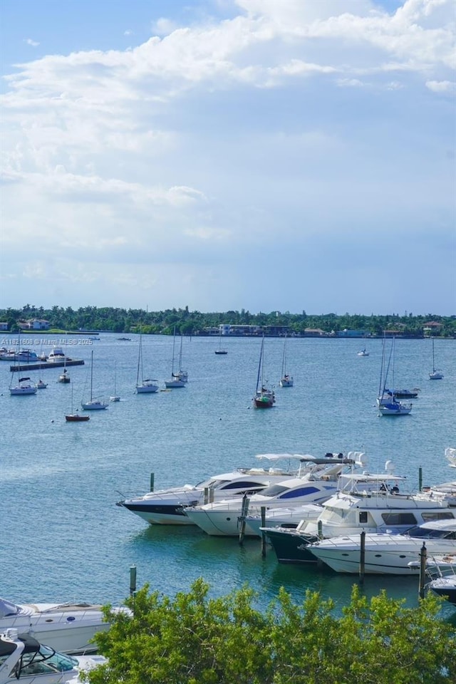 7904 W Dr Unit 501, North Bay Village, FL 33141 - water view featuring a dock