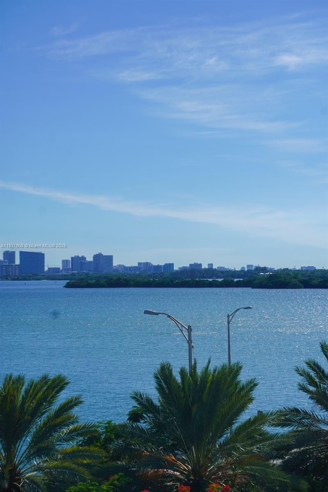 7904 W Dr Unit 501, North Bay Village, FL 33141 - water view with city skyline