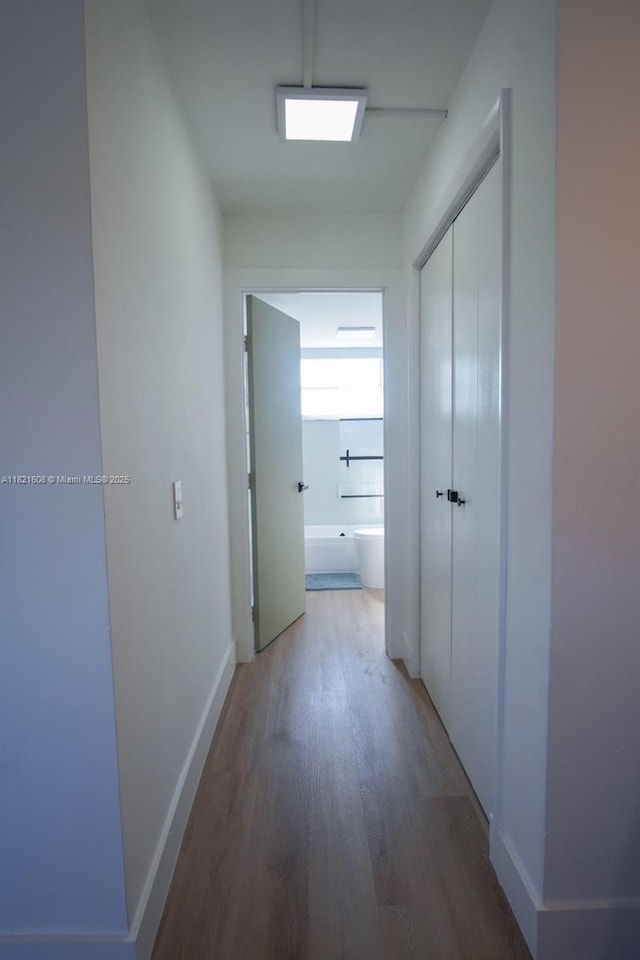 7904 W Dr Unit 501, North Bay Village, FL 33141 - hallway with wood finished floors and baseboards