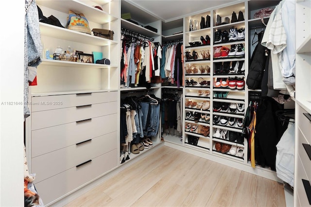 9627 SW 18th Ter, Miami, FL 33165 - spacious closet featuring wood finished floors
