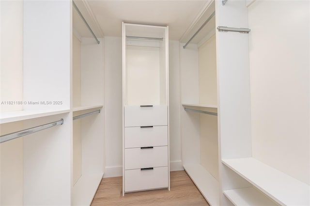 100 Lakeview Dr Unit 317, Weston, FL 33326 - photo 15
