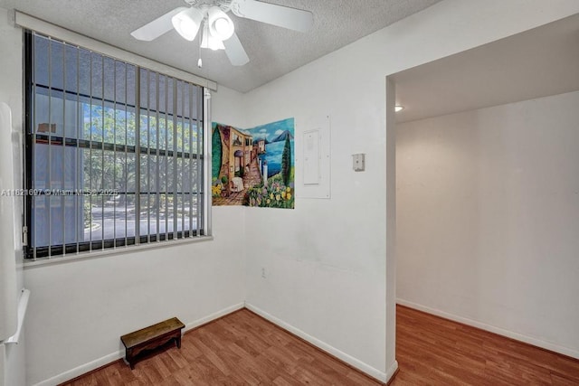 1520 Whitehall Dr Unit 103, Davie, FL 33324 - empty room with wood finished floors, ceiling fan, and a textured ceiling