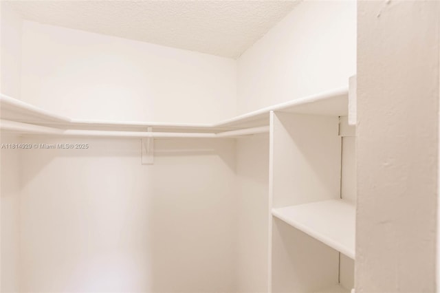 801 NW 47th Ave Unit 409W, Miami, FL 33126 - view of spacious closet
