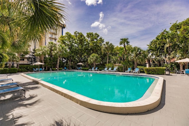 801 NW 47th Ave Unit 409W, Miami, FL 33126 - community pool with a patio