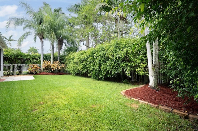 542 Penta Ct, Weston, FL 33327 - view of yard