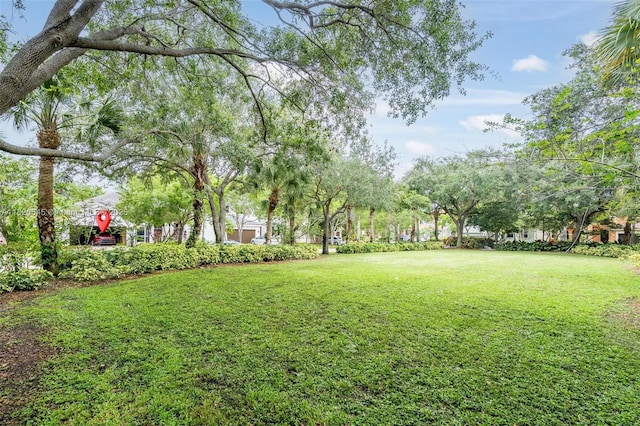 542 Penta Ct, Weston, FL 33327 - view of green lawn