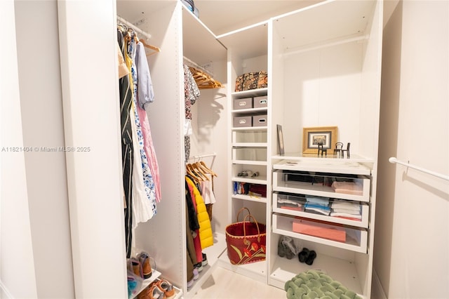 8217 NW 46th St, Doral, FL 33166 - view of walk in closet