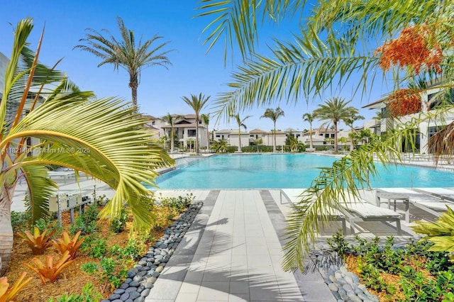 8217 NW 46th St, Doral, FL 33166 - view of community pool