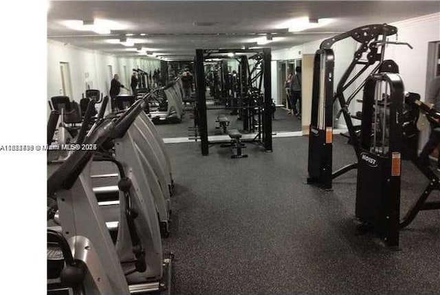 1800 Sans Souci Blvd Unit 201, North Miami, FL 33181 - view of workout area