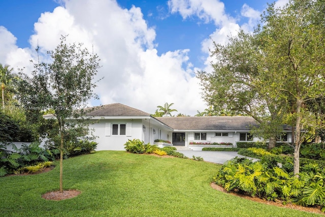 11100 Paradela St, Coral Gables, FL 33156 - back of property featuring a yard and stucco siding